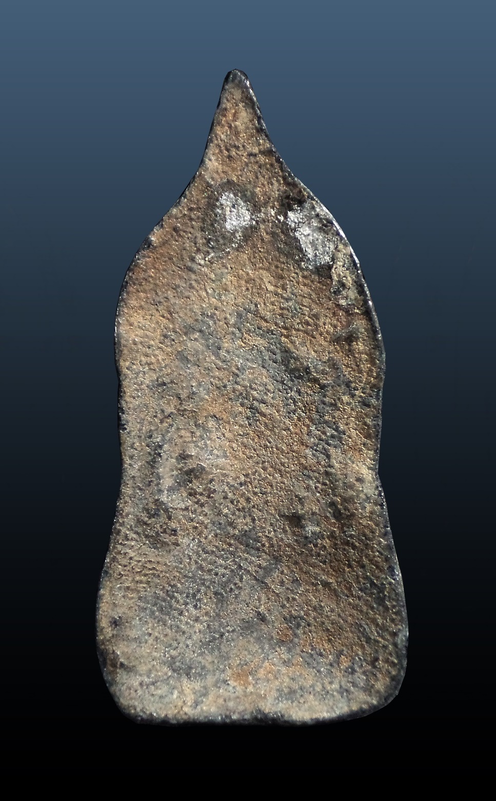 พระศาสดา กรุพญาดำ สุโขทัย เนื้อชิน