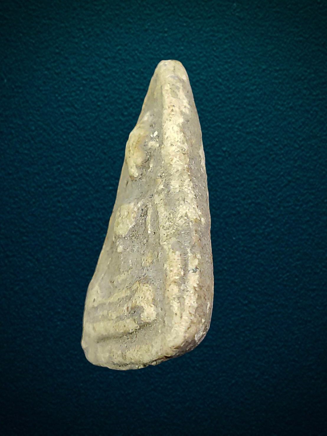 พระผงสุพรรณ หลวงปู่นาค วัดระฆัง กทม เนื้อผงพุทธคุณ