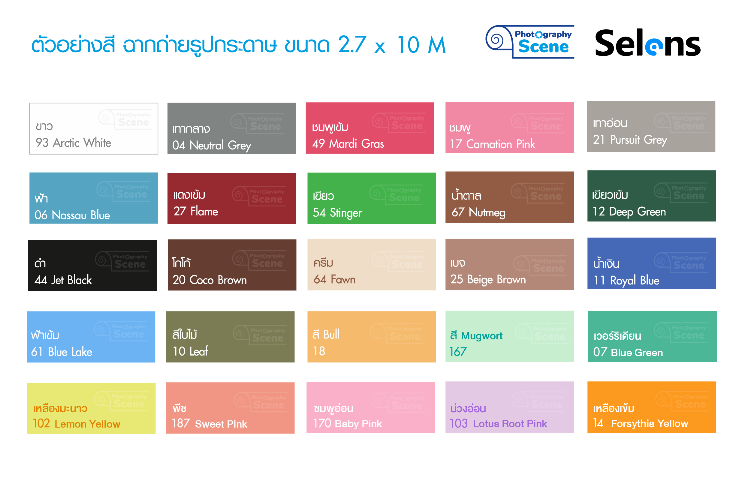 ฉากกระดาษ Selens 2.7x10 เมตร