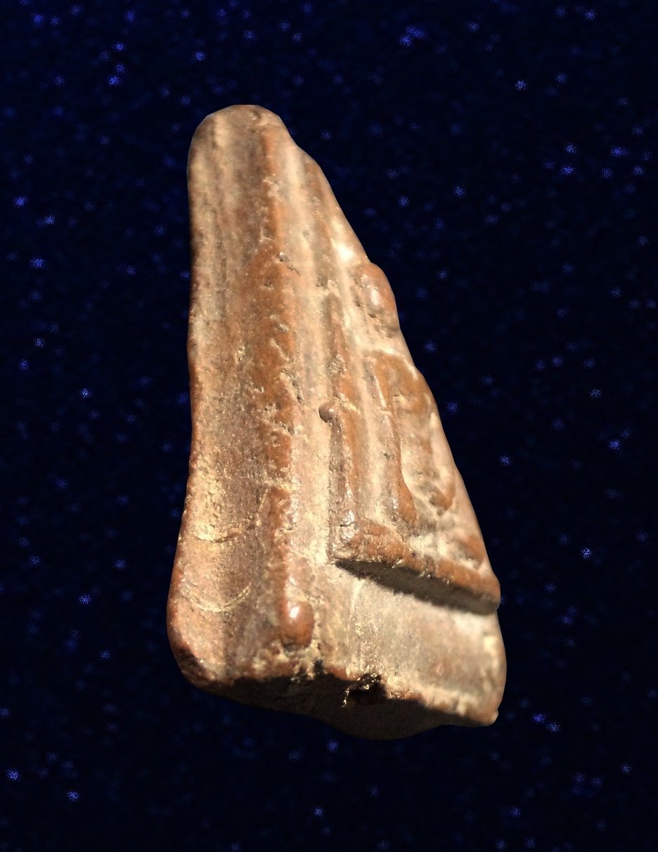 พระนางพิชัย อุตรดิตถ์ เนื้อดิน