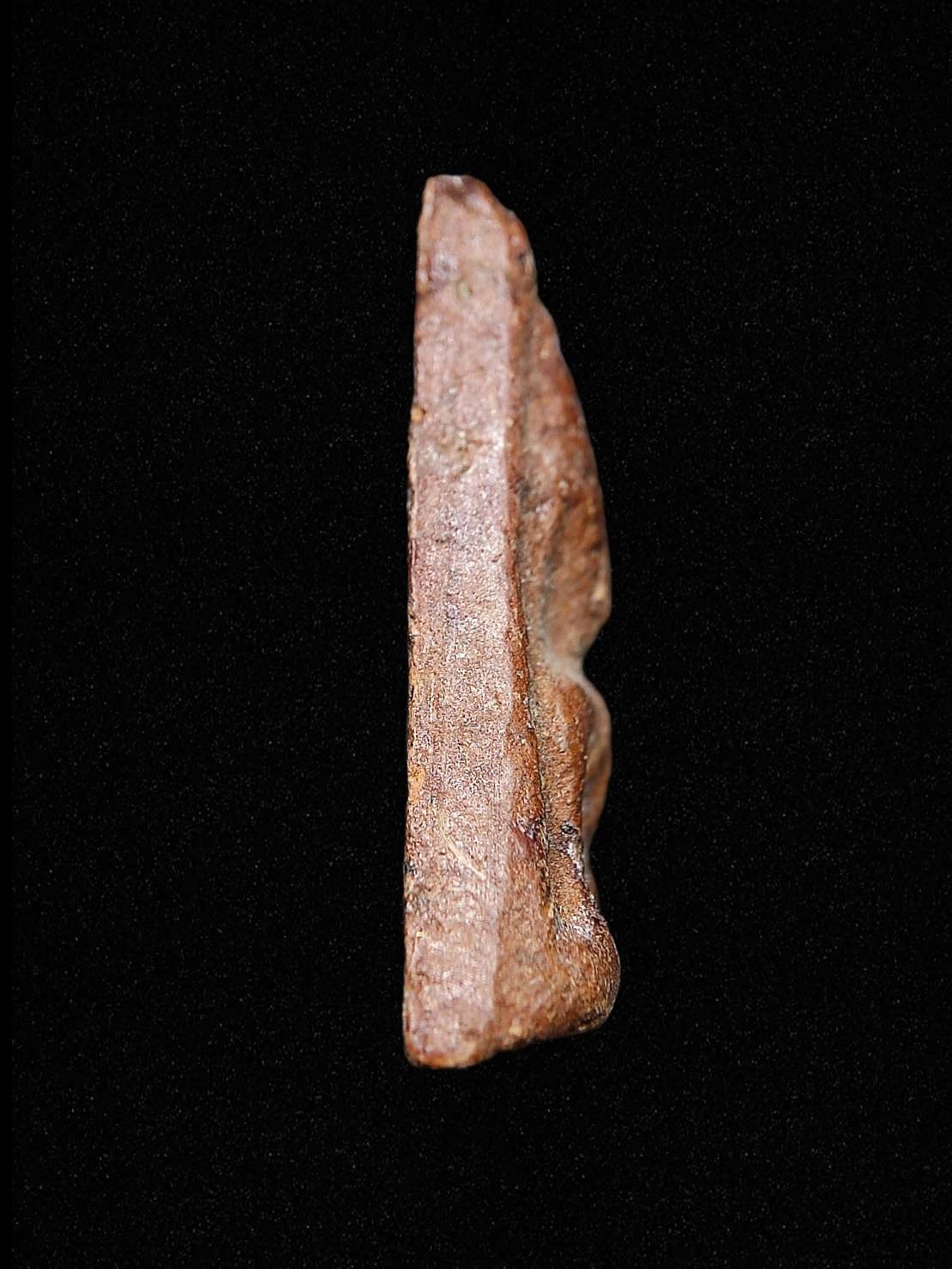 พระนางพญาหลวงพ่อทาบ วัดกระบกขึ้นผึ้ง จ.ระยอง ปี 2505 เนื้อดิน