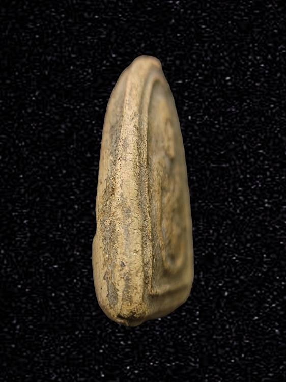 พระผงรูปเหมือน ครูบาพรหมมา พรหมจักรโก วัดพระพุทธบาทตากผ้า ลำพูน