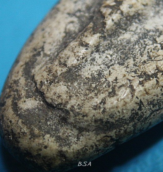 พระสมเด็จ วัดพลับ พิมพ์วันทาเสมา