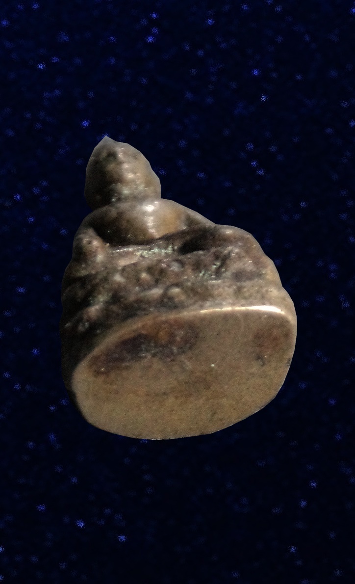 พระชัยวัฒน์ ไพรีพินาส วัดบวรฯ กทม.