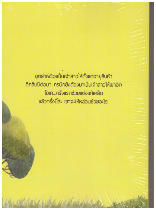 พันธะลับ / กลีบลำดวน (ทำมือ – ใหม่ .แถมฟรีปกพลาสติกใส)