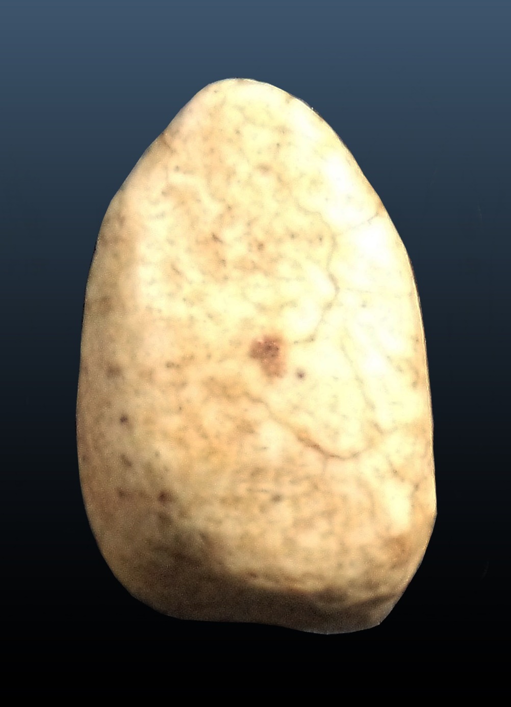 พระพิมพ์วัดพลับ หลวงพ่อสุด วัดกาหลง จ.สมุทรสาคร ปี 2485