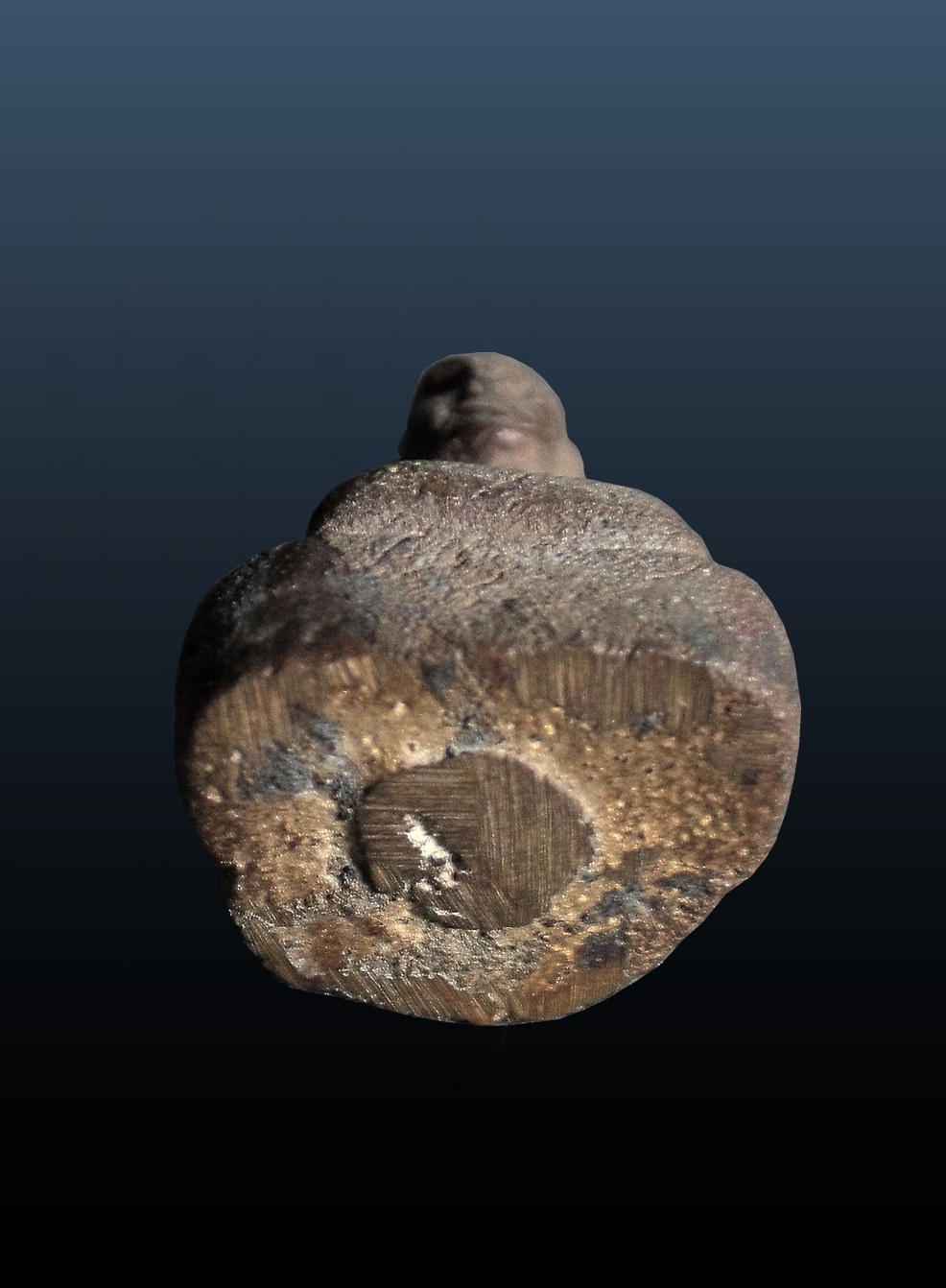 รูปหล่อหลวงพ่อจาด วัดบางกระเบา ปราจีนบุรี ไม่ตอกโค้ต