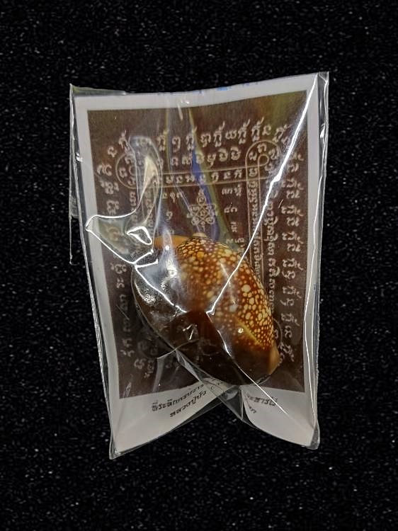 เบี้ยแก้ 200 ปี หลวงปู่ทิม วัดละหารไร่ อุดผงพรายกุมาร คลุกรักชันโรง หลวงปู่บัว หลวงปู่คำบุ ปลุกเสก พิธีใหญ่ ปี 2554