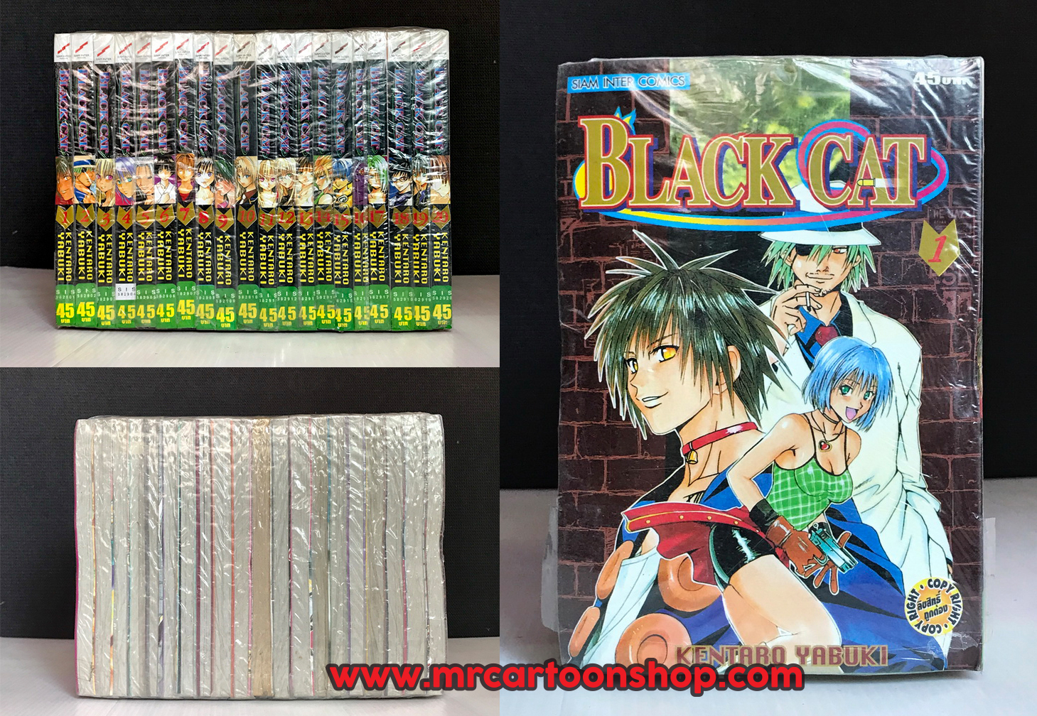 Blackcat 1-20 จบ
