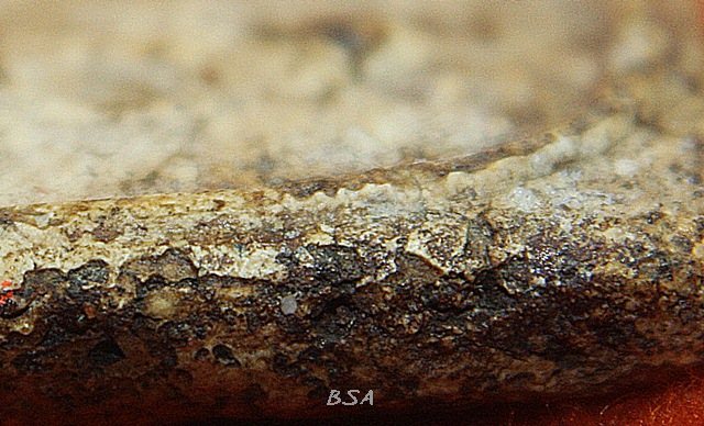 พระสมเด็จ บางขุนพรหม พิมพ์ปรกโพธ์