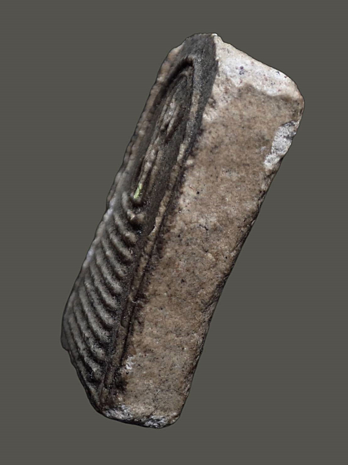 พระพิมพ์สมเด็จ 9 ชั้นรัศมี เนื้อผงพุทธคุณ พระบ้าน เก่าเก็บไม่ทราบที่