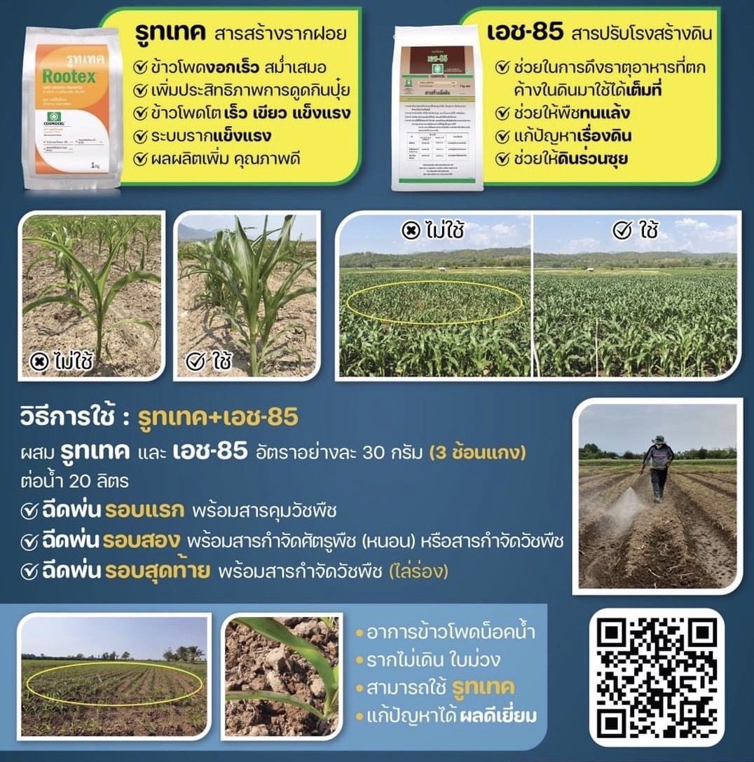 Cosmocel H-85 คอสโมเซล เอช-85 ผงฮิวมิก+ฟูลวิกแอซิด (Humic & Fulvic acid) สารสร้างเม็ดดิน ช่วยปรับสภาพดิน เพิ่มการดูดซึมปุ๋ย บรรจุ 1 กิโลกรัม