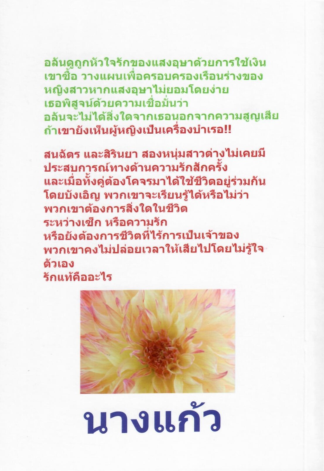 รักร้อน แรงเสน่หา ภาค 1 + 2 ( ภาคจบ ) ( NC25 +) / นางแก้ว ( ทำมือ ใหม่ )