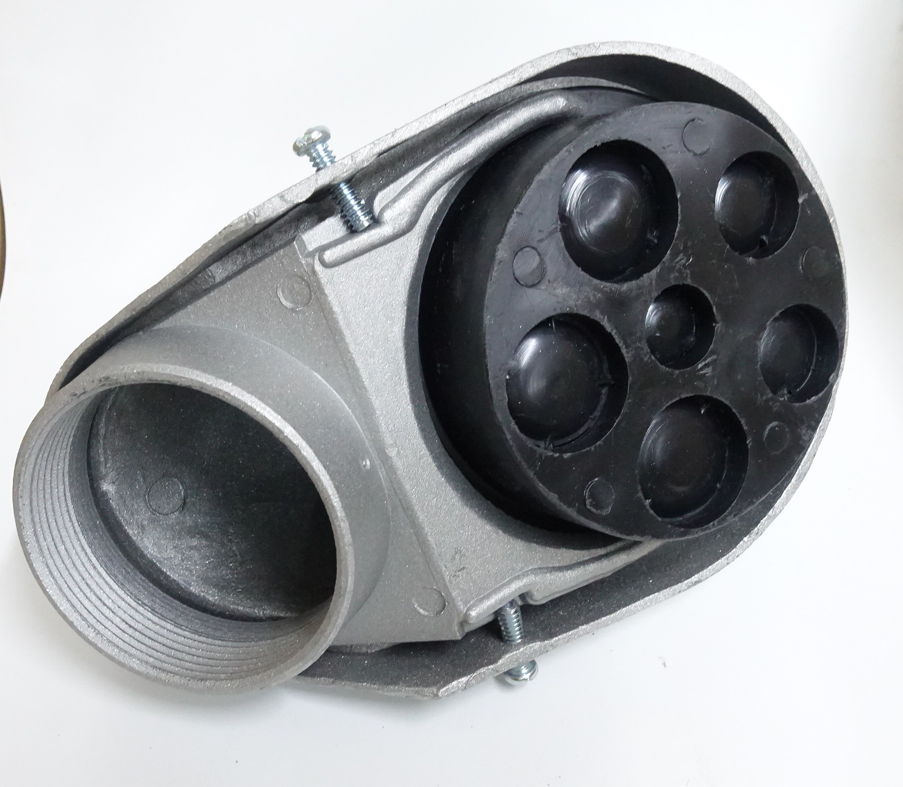 หัวงูเห่า