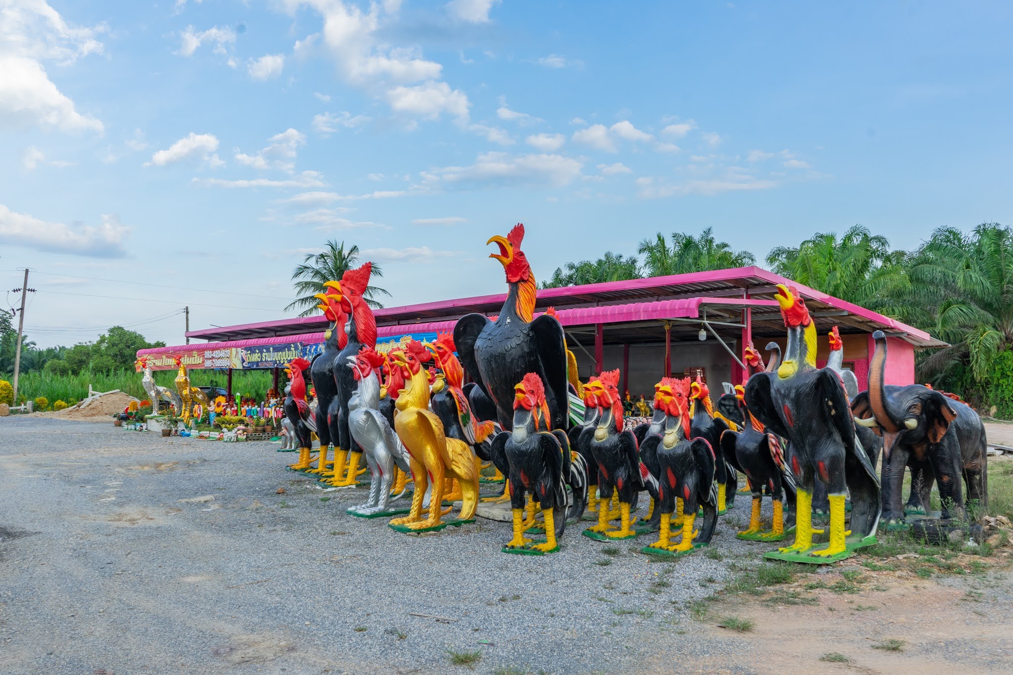 ไก่ปูนปั้นถวายแก้บน-ขอพรตาไข่วัดเจดีย์ ขนาด3.5 เมตร