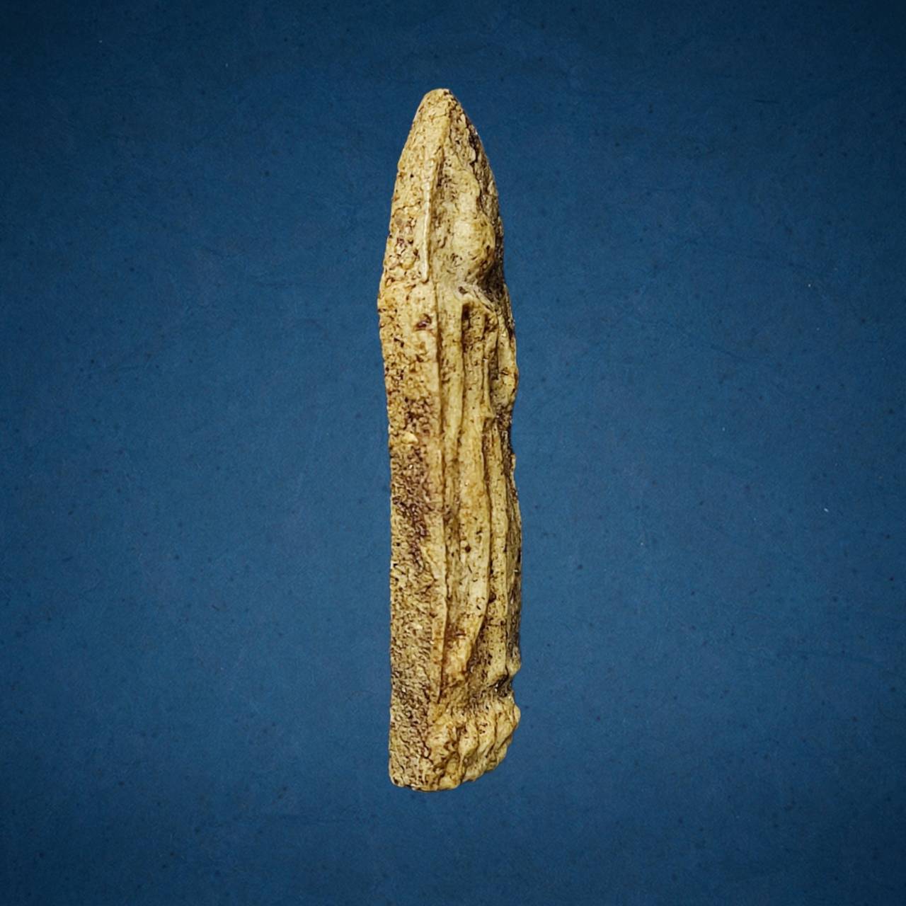 พระลีลา หลวงพ่อขัน วัดนกกระจาบ อยุธยา เนื้อผง