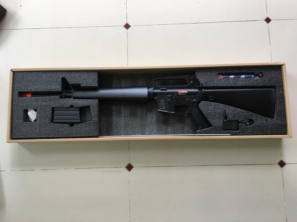 M16A1 F6618