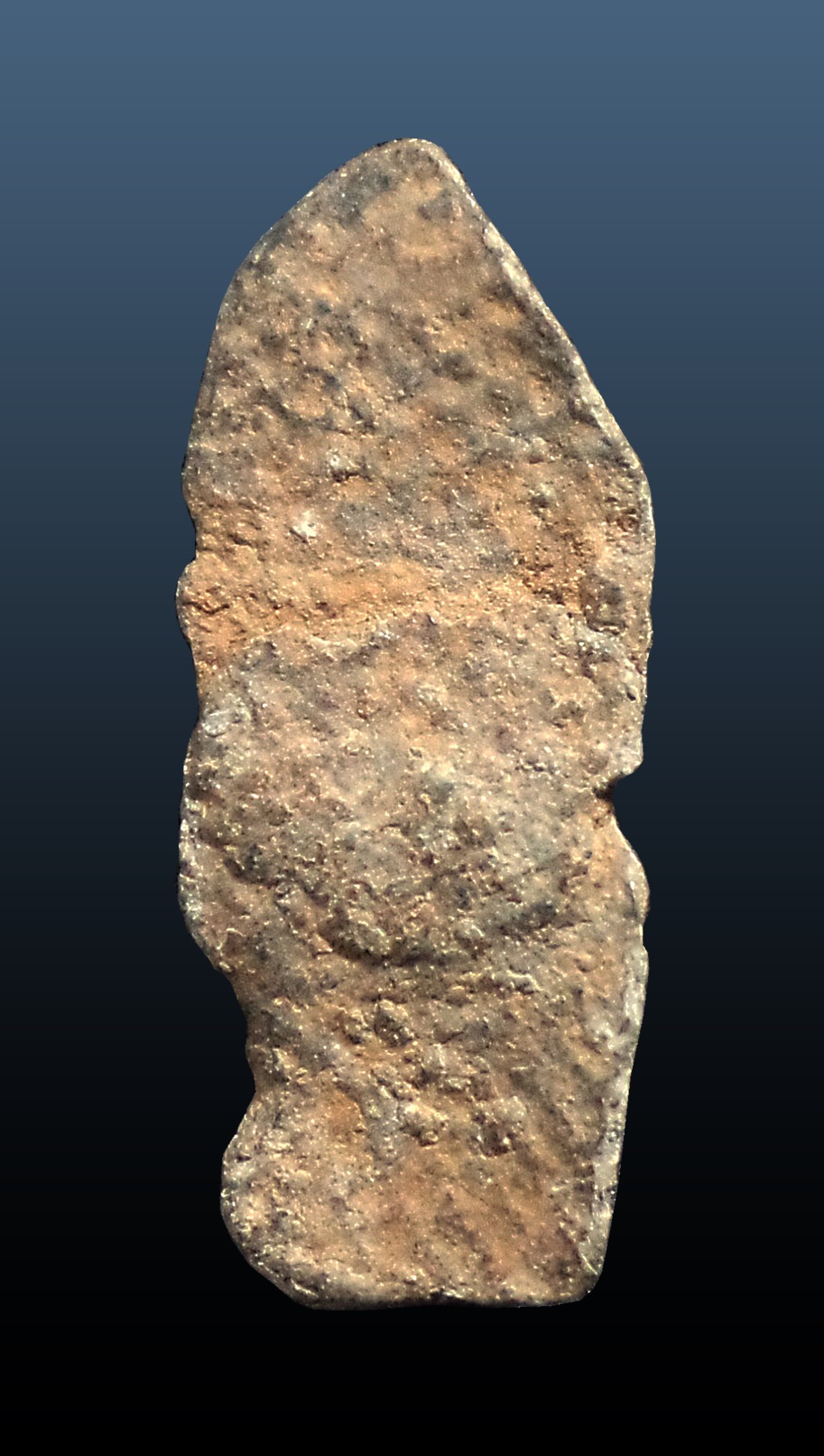 พระพิจิตรนาคปรก เนื้อชิน