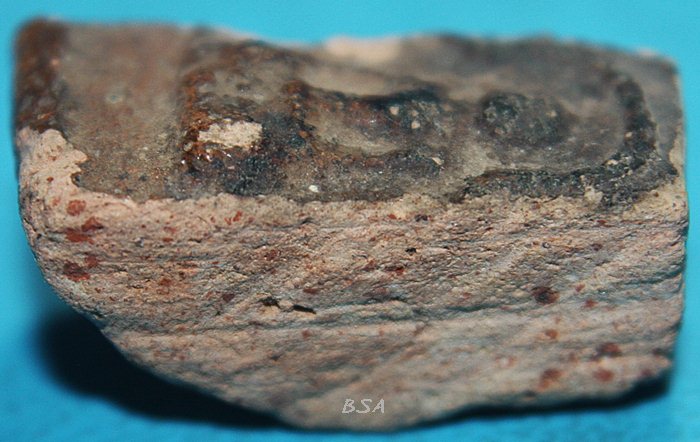 พระหัวใจกำแพง แผงตัดเดี่ยว กำแพงเพชร