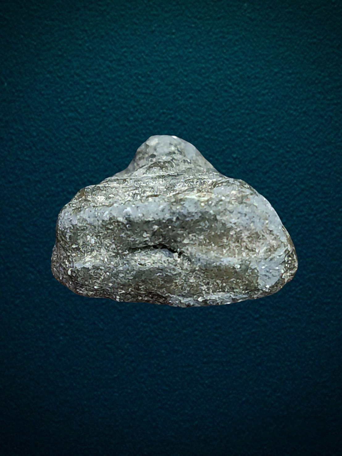 หลวงพ่อทวด เนื้อว่าน ปี 2497 พิมพ์ต้อเล็ก