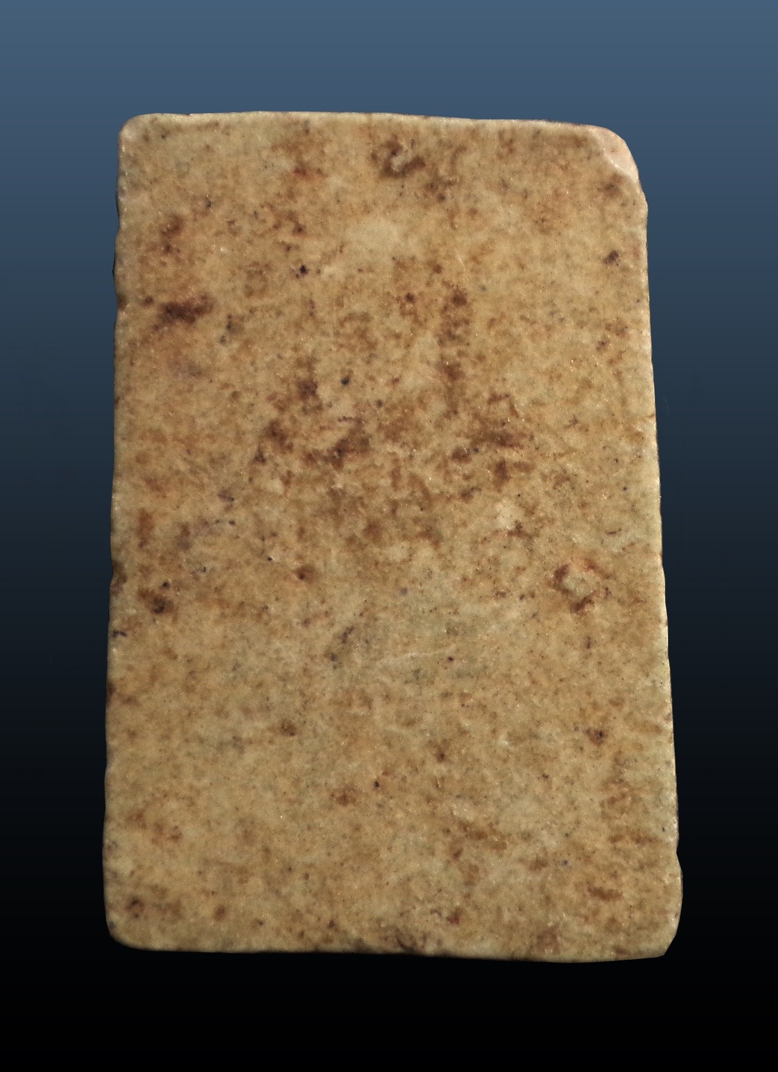 พระสมเด็จปรกโพธิ์