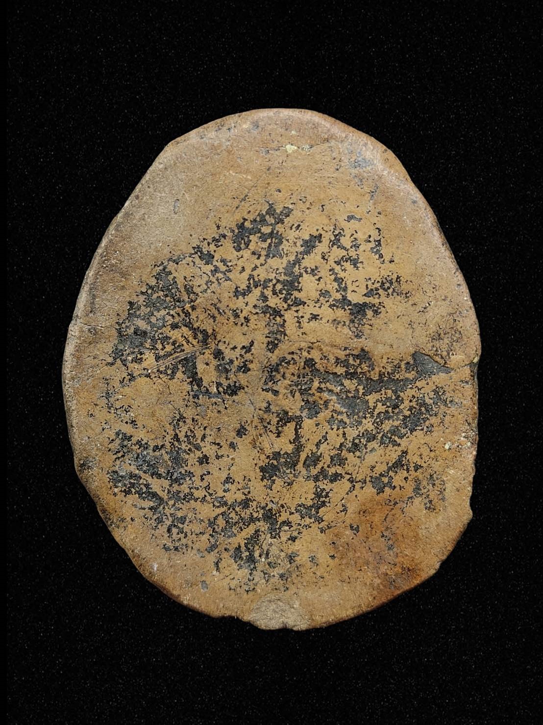 บล็อคแม่พิมพ์ พิมพ์หลวงพ่อโตบางกระทิง เนื้อดิน สภาพเก่าถึงยุค