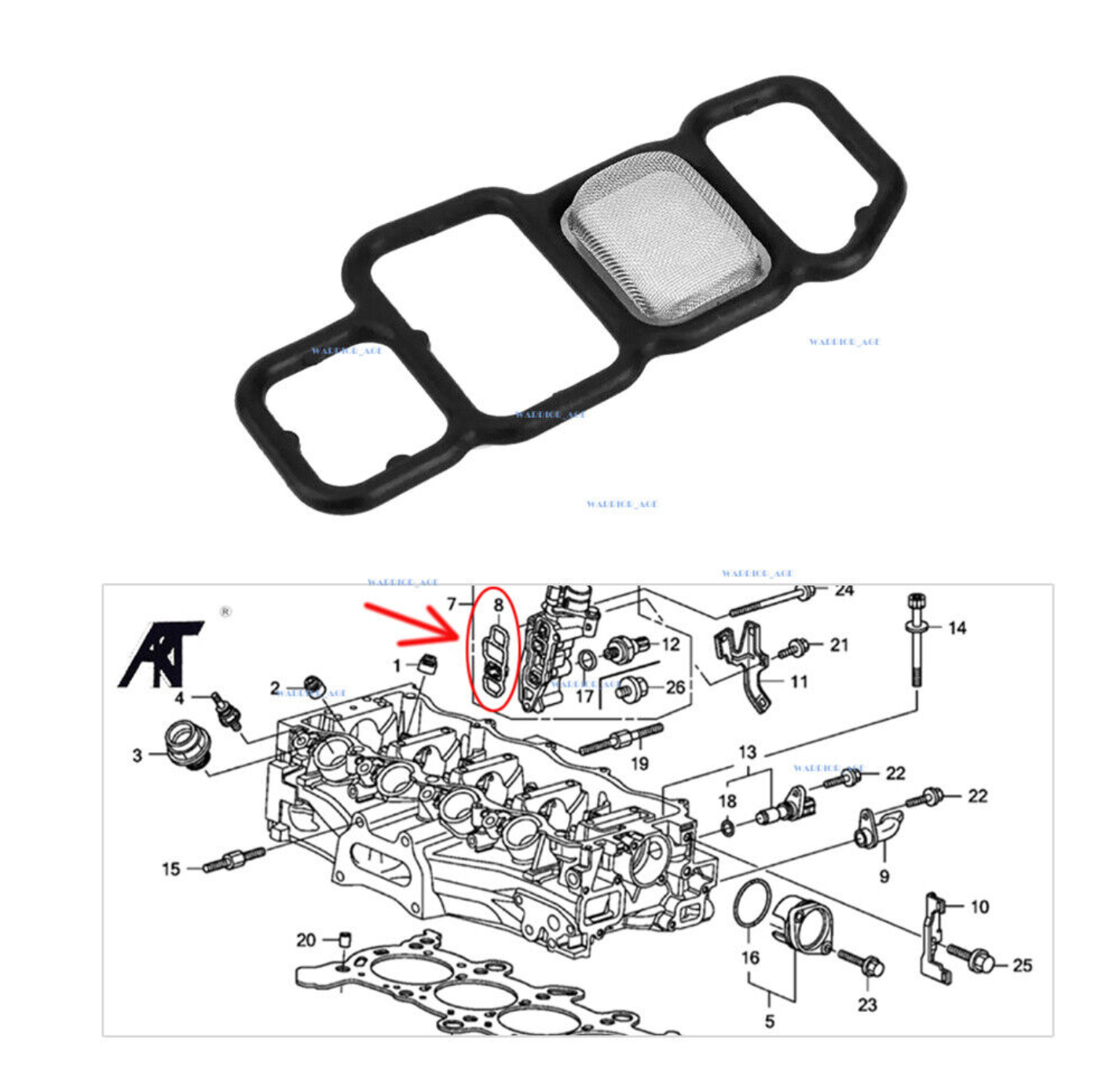 (แท้ศูนย์) โอริงกรองน้ำมัน / โอริงโซลินอยด์ / โอริงวีเทค / HONDA CIVIC FD / R18 / R20 / C-rv gen3 / G3 / Accord ปี 2008 เครื่อง 2.0 / มีตะแกรง / ซีวิคนางฟ้า ซีอาร์วี / แอคครอด / 15826-RNA-A01 / MADE IN JAPAN / fiter assy oil / spool valve