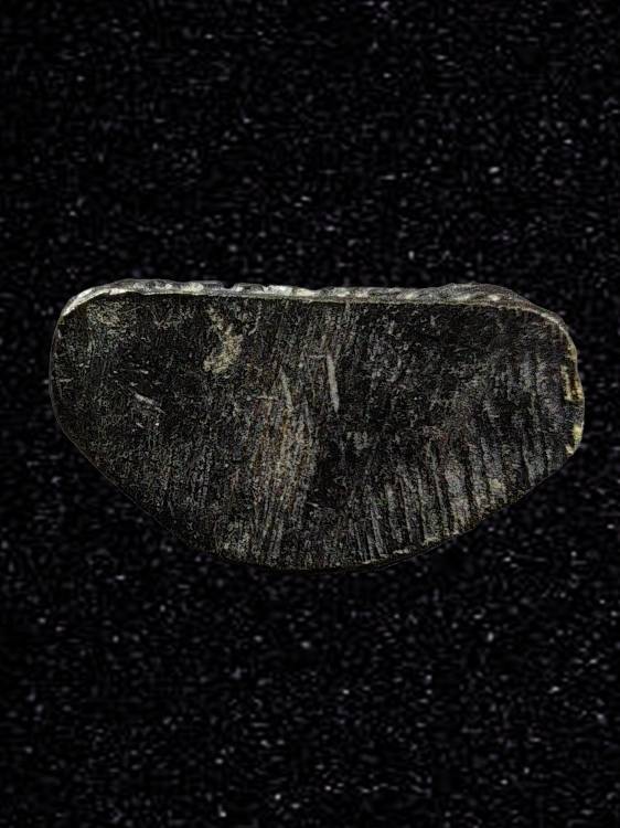 รูปหล่ออุดกริ่ง หลวงพ่อชื่น วัดกลางคูเวียง รุ่นแรก ปี 2514