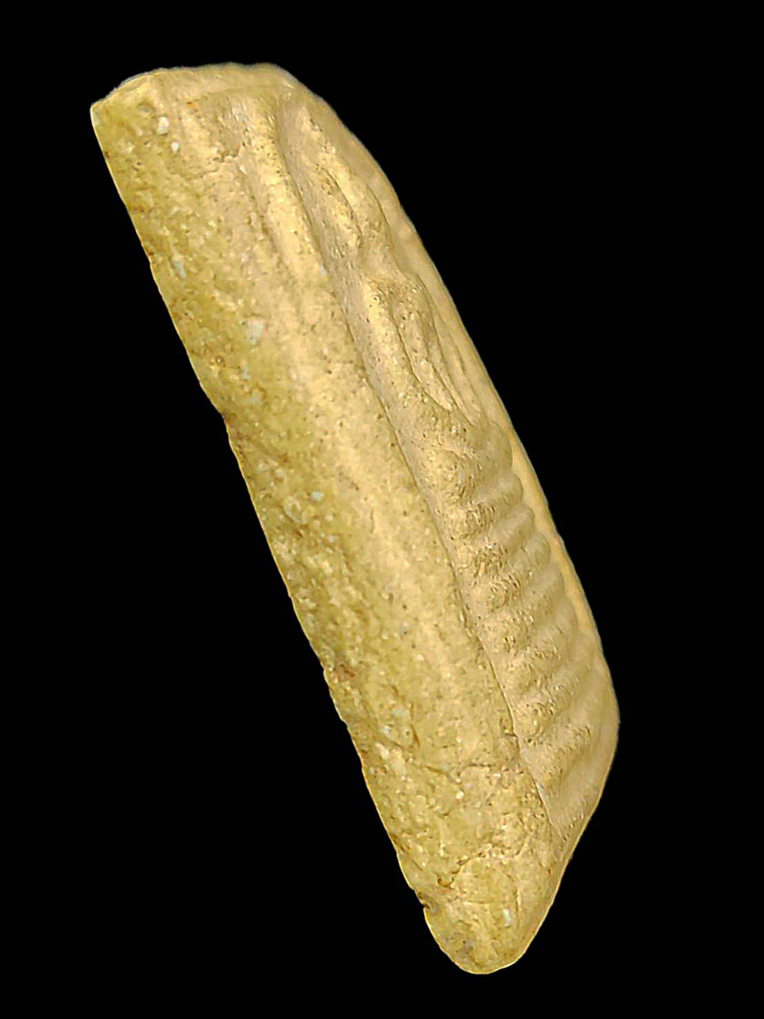 พระสมเด็จเกศไชโย รุ่นสร้าเขื่อน วัดเกศไชโย จ.อ่างทอง ปี2495 เนื้อผงโทนเหลือง