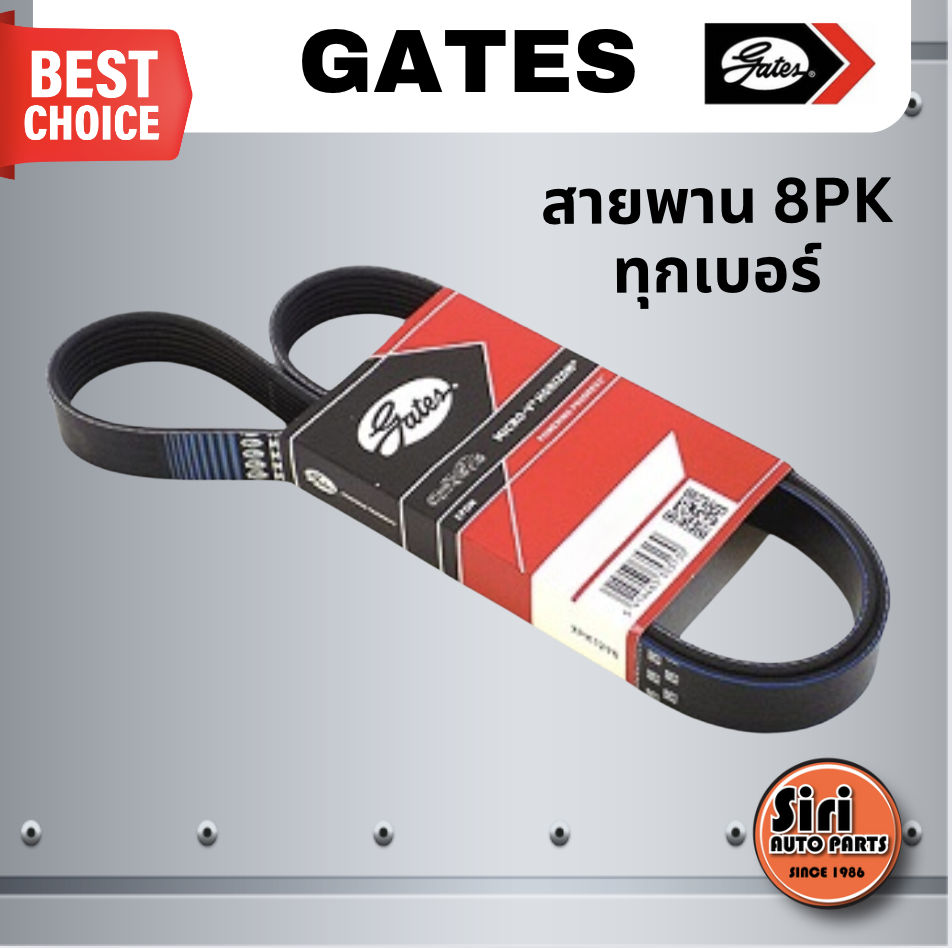 Gates สายพาน 8PK เบอร์ 8PK1800, 8PK1510, 8PK2085 ยี่ห้อ GATES / MICRO-V