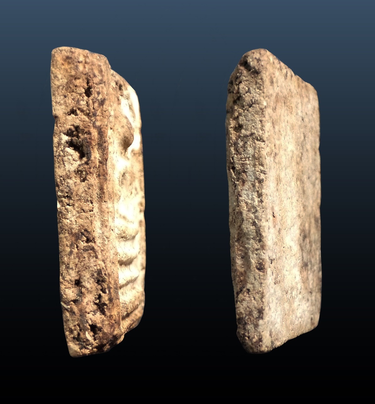 พระสมเด็จบางขุนพรหม พิมพ์สังฆาฏิมีหู