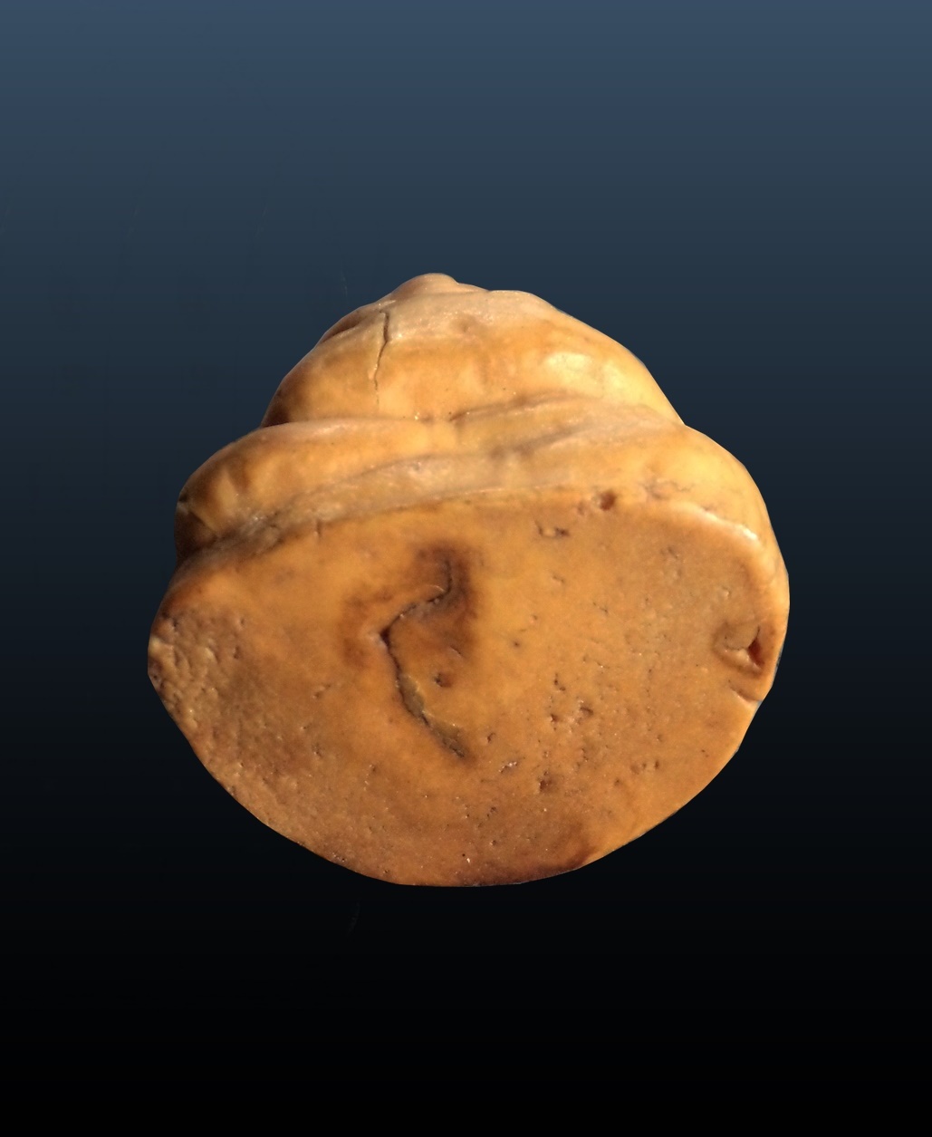 พระสังกัจจายน์ ยุคต้น เนื้อผงน้ำมัน หลวงพ่อกวย วัดโฆสิตาราม ชัยนาท