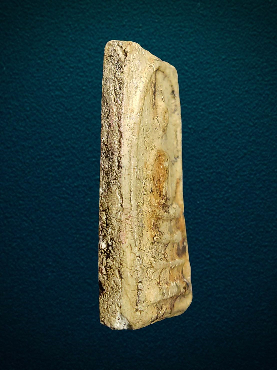 พระสมเด็จพิมพ์ใหญ่ หลวงตาพัน วัดบางขุนพรหม ปี 2502