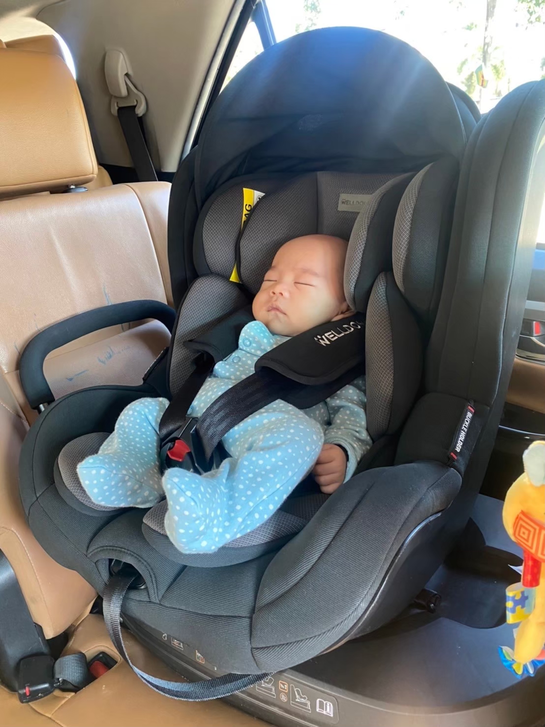 Welldon คาร์ซีท รุ่น Cocoonlove Elder (แรกเกิด - 4 ปี)