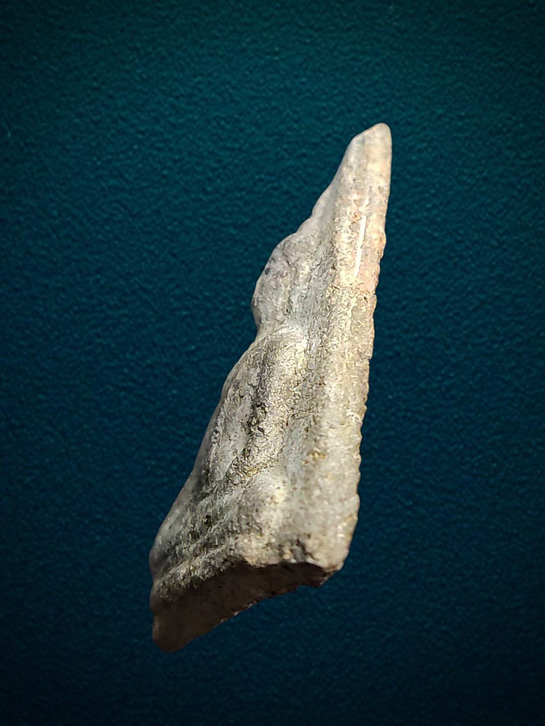 พระนางพญาเสน่ห์จันทน์ กรุต้นจันทร์ สุโขทัย