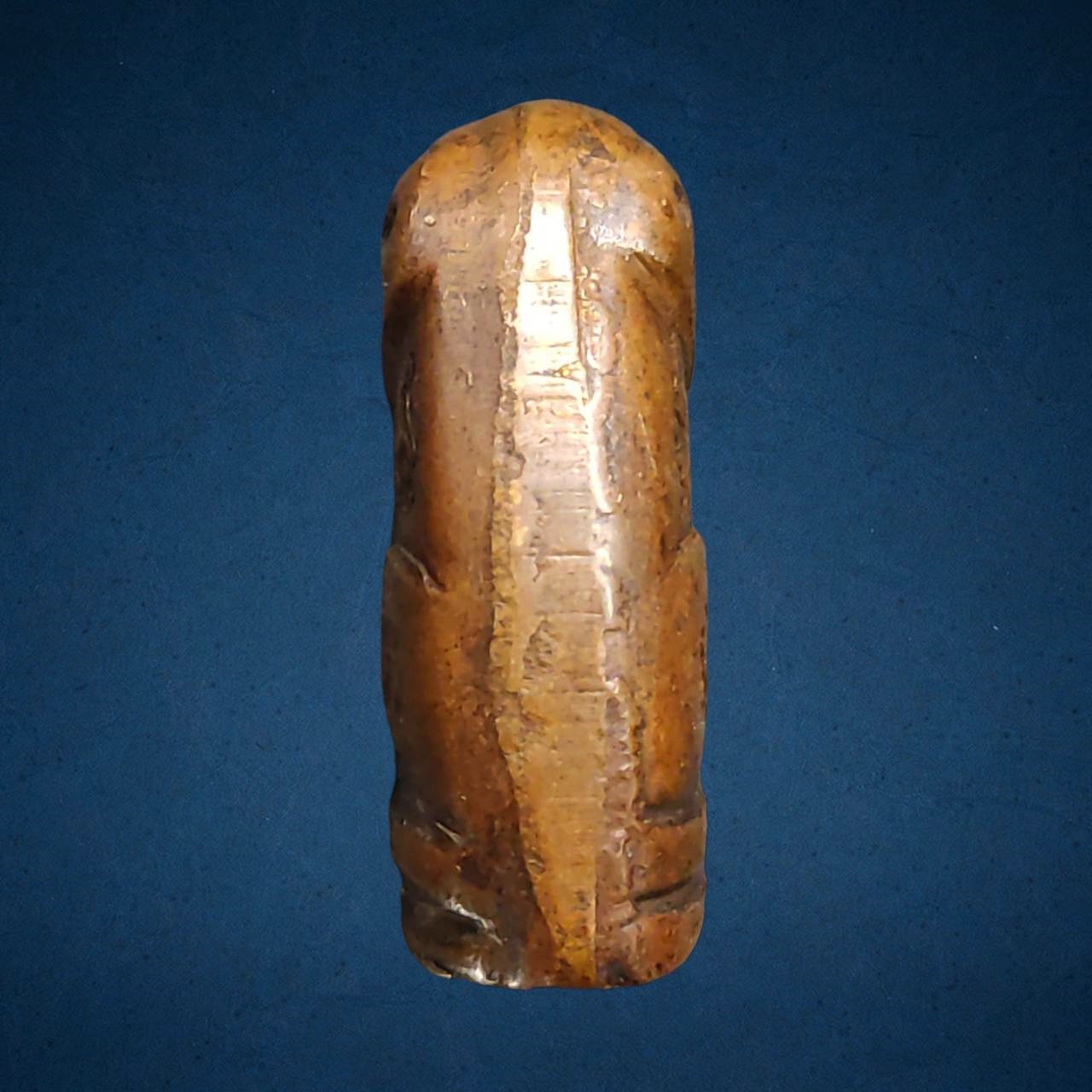 รูปหล่อ เสือโลหะ ไม่ทราบที่