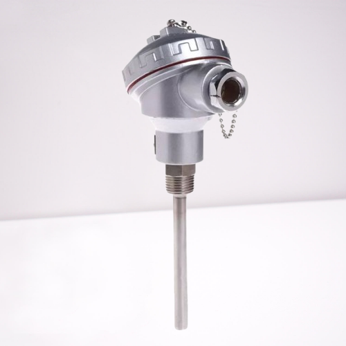 Temp Sensor Model DNN-G10-A6x300x304xPT3/8
