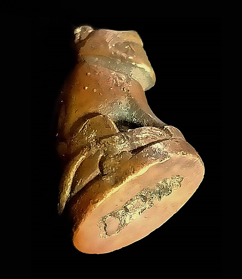 เสือหลวงพ่อปาน รุ่นฝังลูกนิมิต วัดมงคลโคธาวาส (วัดบางเหี้ย) ต.คลองด่าน บางบ่อ จ.สมุทรปราการ ปี2517 เนื้อตะกั่ว ชุบทองแดง