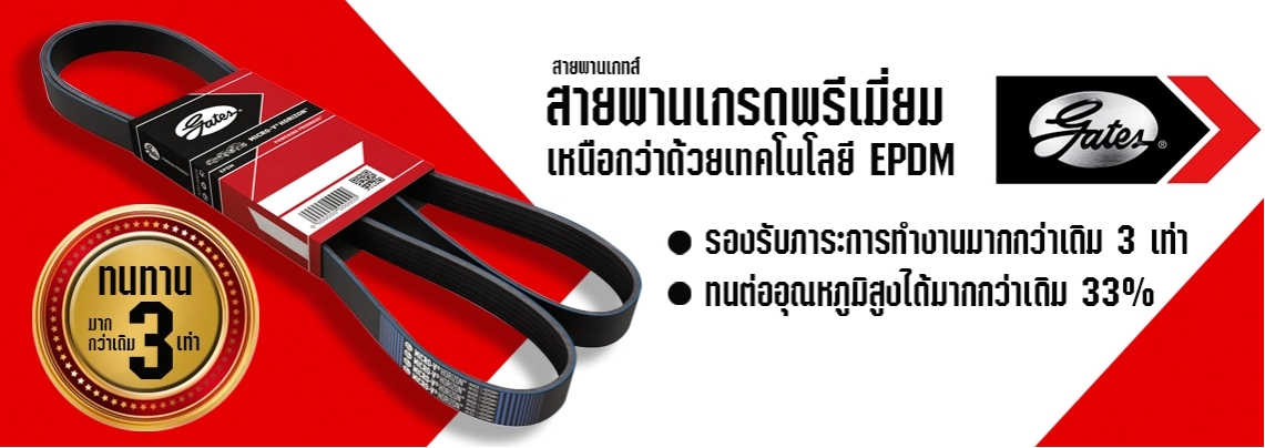 สายพานหน้าเครื่อง FORD FIESTA 1.4-1.6L / belt, ไดชาร์ท, สายพานแอร์, AE8Q6D314AA