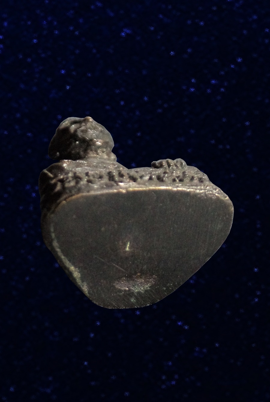 รูปหล่อ พ่อปู่ไวทัตย์ วัดปากดง จ.สุพรรณบุรี