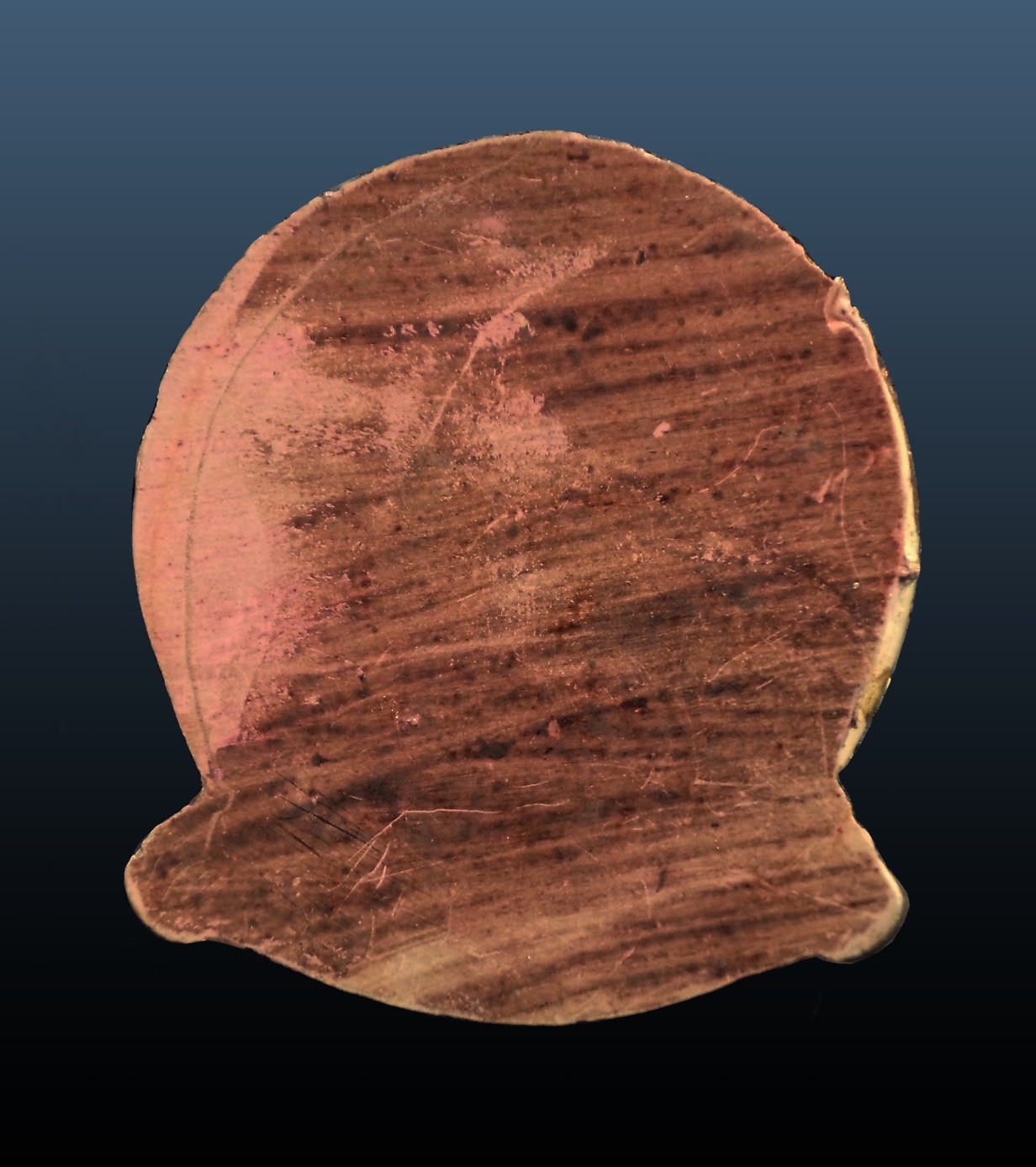 เหรียญ พระนาคปรก วัดไทร สมุทรสงคราม