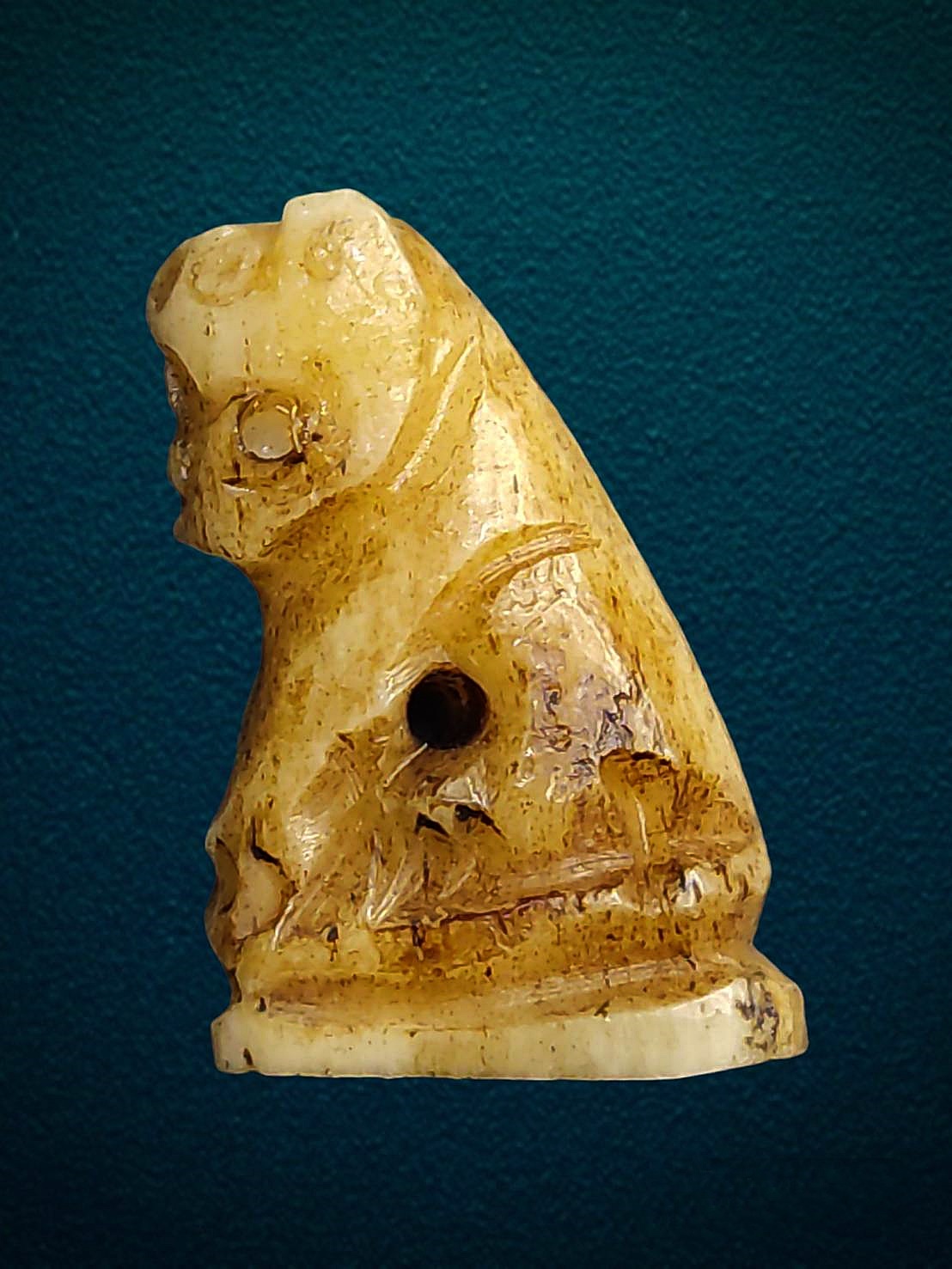 เสือกระดูกแกะ หลวงพ่อเรือน วัดบางเหี้ย จ.สมุทรปราการ มีจารย์ใต้ฐาน