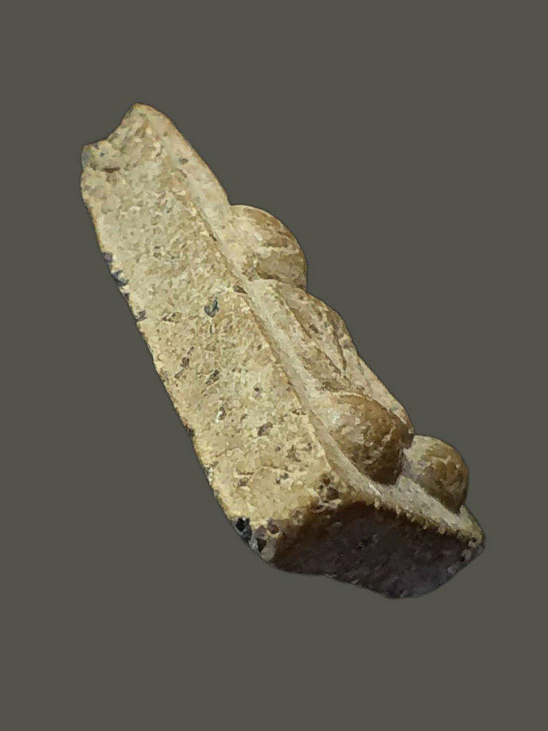 พระนางพญา หลังยันต์ ฤๅ นะชาลิติ เนื้อผง