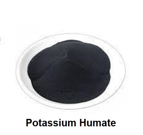 Potassium Humate 95% Powder ผงโพแทสเซียมฮิวเมท 95% (ประกอบด้วยฮิวมิกแอซิด 71.8%+โปตัสเซียม 12%) ช่วยปรับปรุงดินและเพิ่มการดูดซึมปุ๋ย ละลายน้ำได้ 99% บรรจุ 1 กิโลกรัม (R)