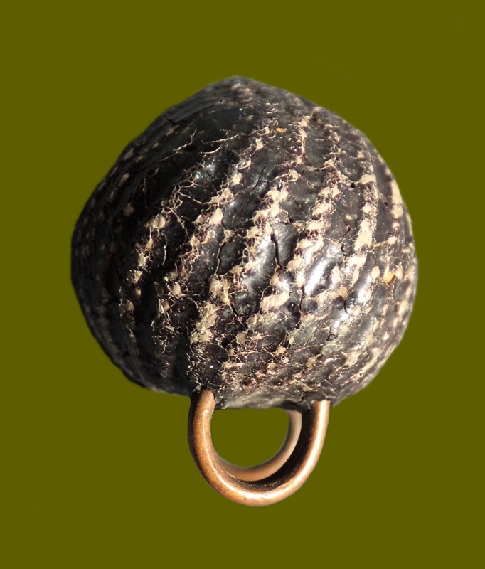 เบี้ยแก้หลวงปู่เพิ่ม วัดกลางบางแก้ว จ.นครปฐม