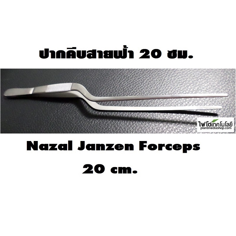 Nazal Janzen Forceps ปากคีบสายฟ้า ทำจากสแตนเลส ยี่ห้อ Golrah ความยาว 20 ซม.