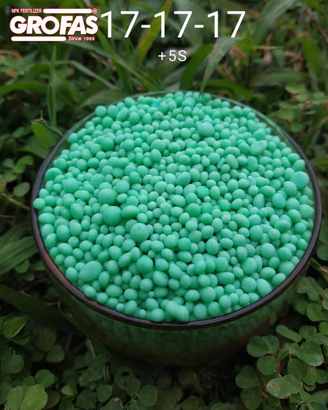 ปุ๋ยเม็ดระบบน้ำ/ทางดิน โกรฟาส GROFAS 17-17-17 +5S ปุ๋ยไฮทาวเวอร์ เม็ดเขียวมรกต ไม่มีคลอไรด์ บรรจุ 25 กิโลกรัม