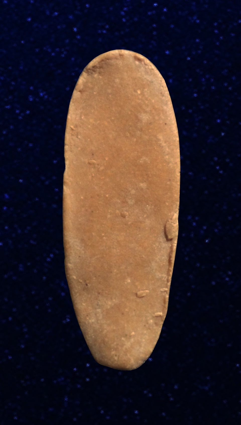 พระพุทธลีลา 25 ศตวรรษเนื้อผงน้ำมัน หลวงพ่อกวย วัดโฆสิตาราม จ .ชัยนาท ( ถอดพิมพ์จากพระลีลา 25 ศตวรรษ )(1)