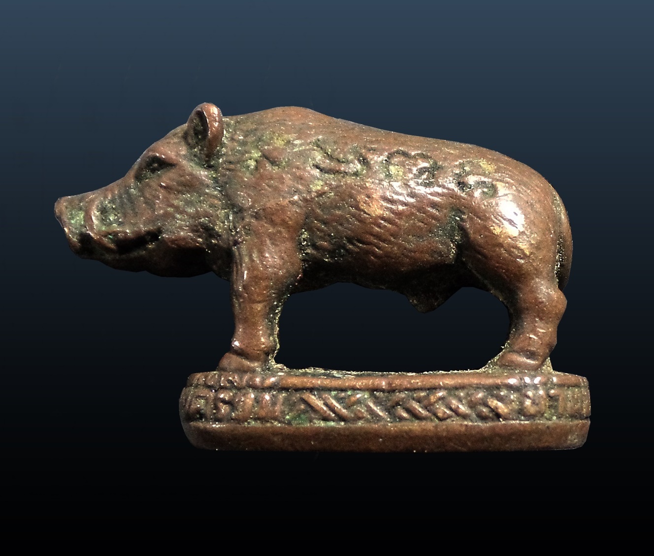 หมูมหาลาภ หลวงปู่โทน วัดเขาน้อยคีรีวัน ชลบุรี