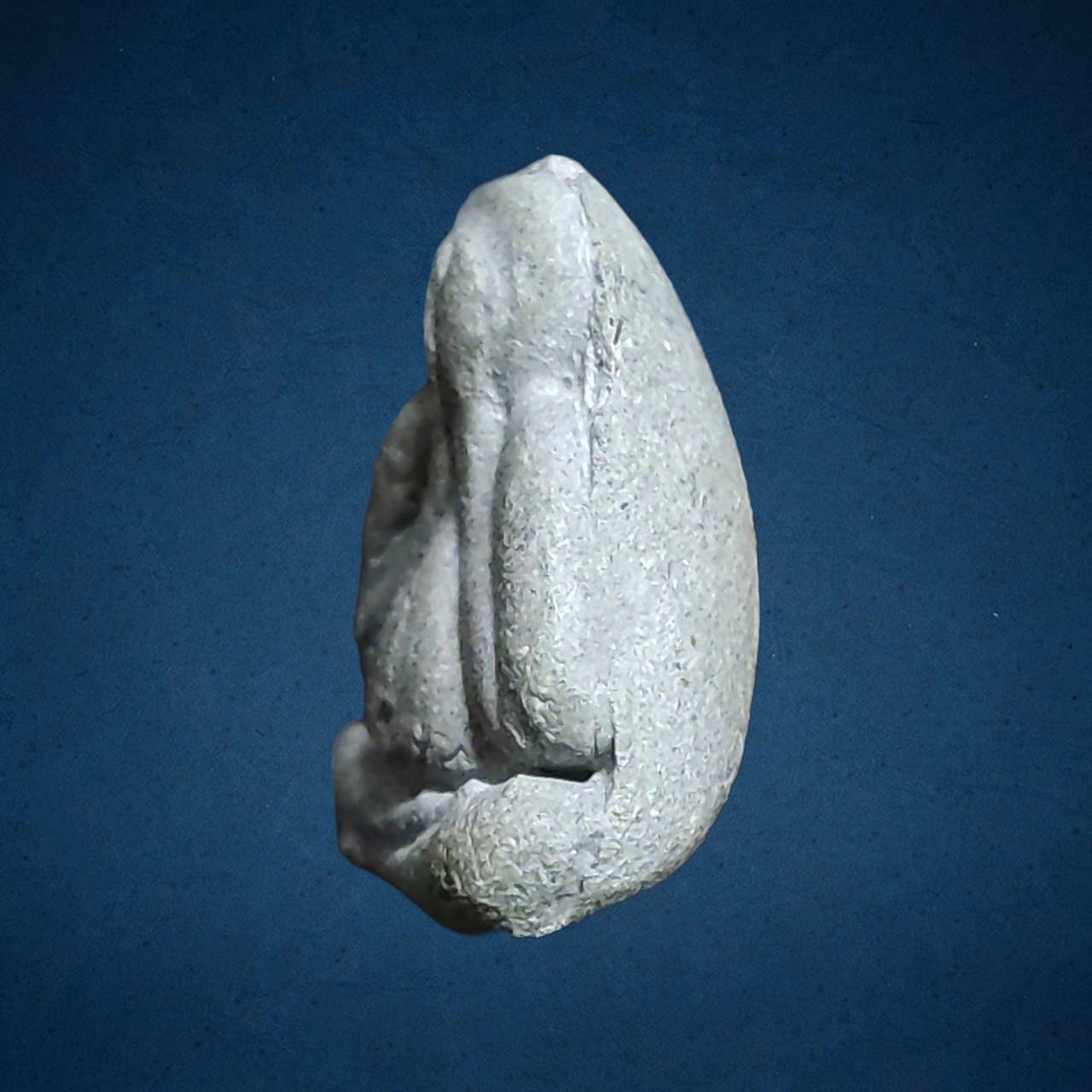 พระปิดตา หลวงพ่อพริ้ง วัดบางปะกอก กทม ปี2514